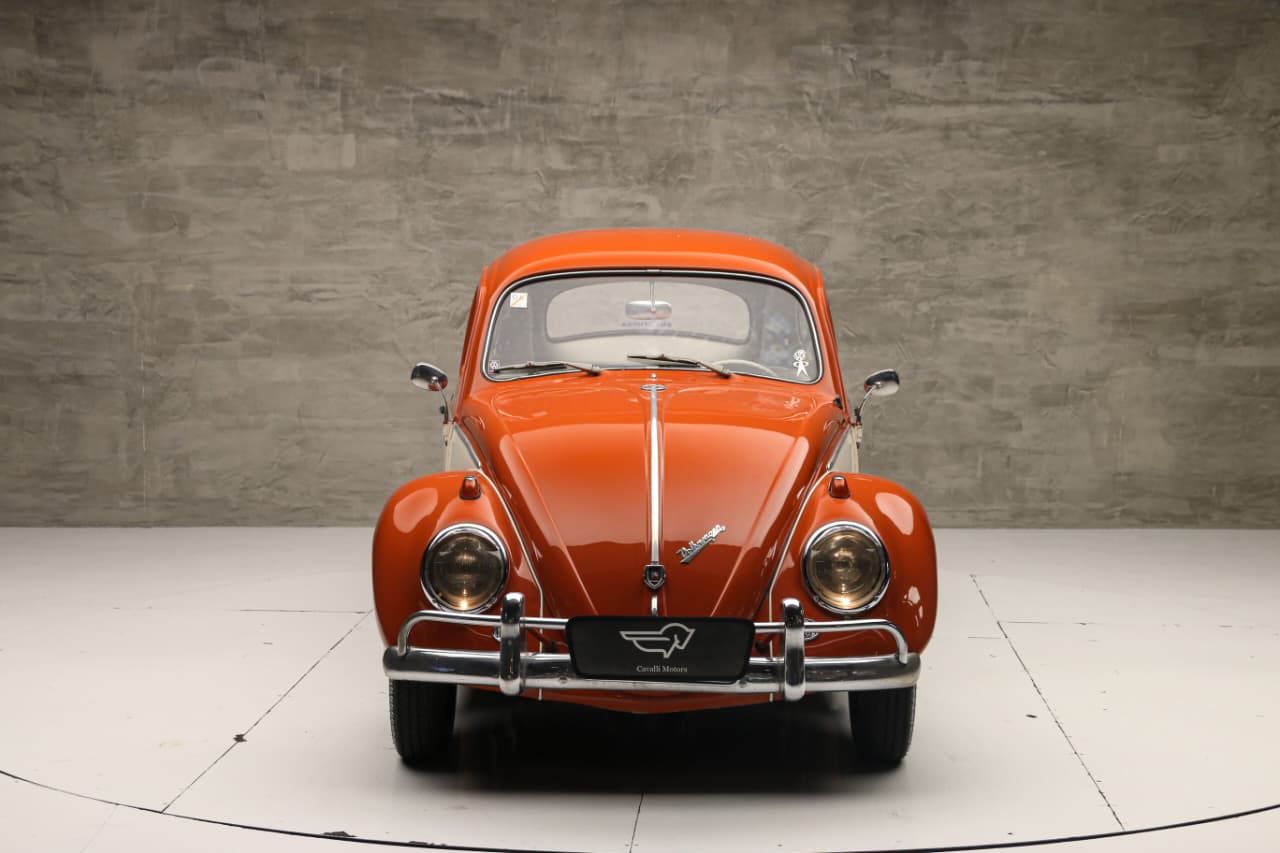 WhatsApp Image 2025-12-04 at 11.59.14