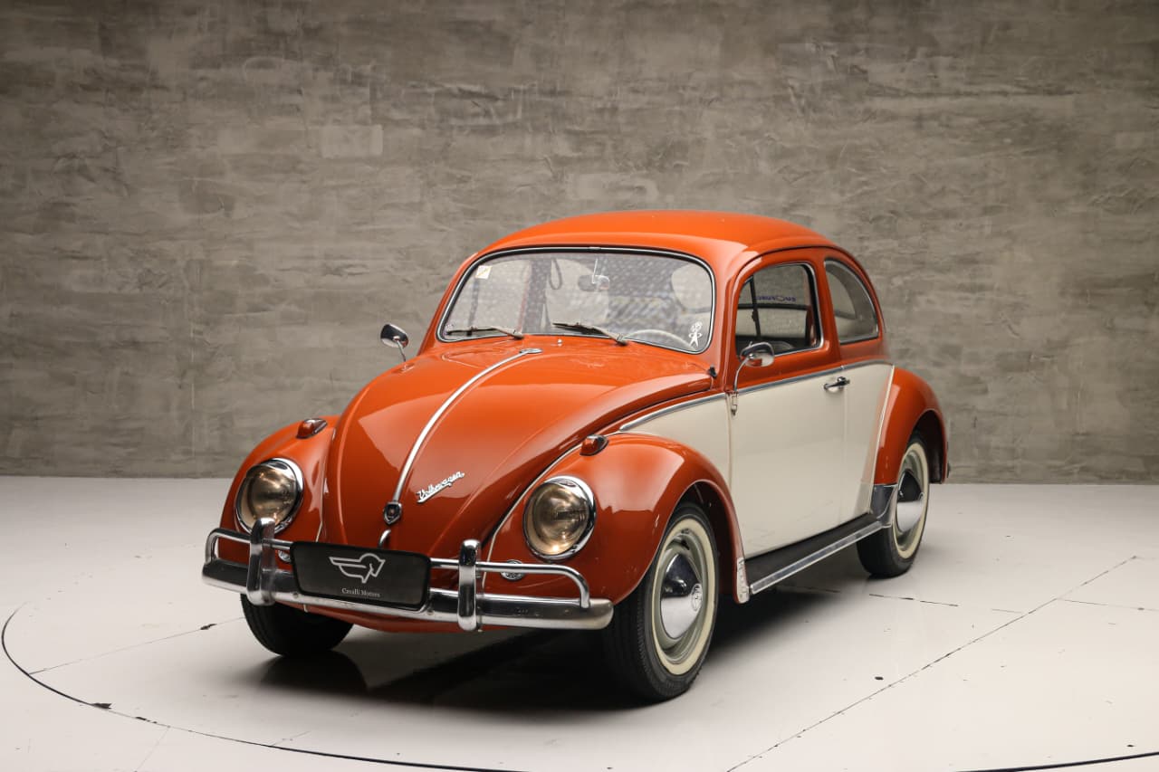 WhatsApp Image 2025-12-04 at 11.59.23