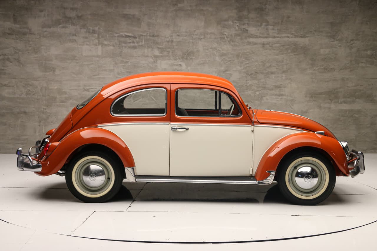 WhatsApp Image 2025-12-04 at 11.59.27 (1)