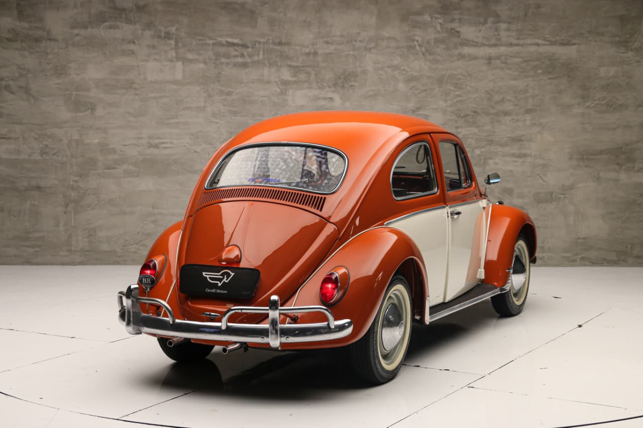 WhatsApp Image 2025-12-04 at 11.59.27 (2)