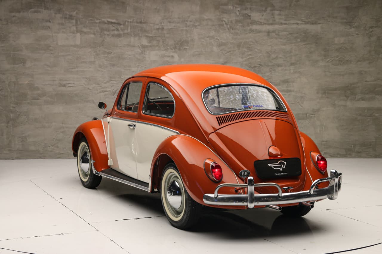 WhatsApp Image 2025-12-04 at 11.59.27 (3)