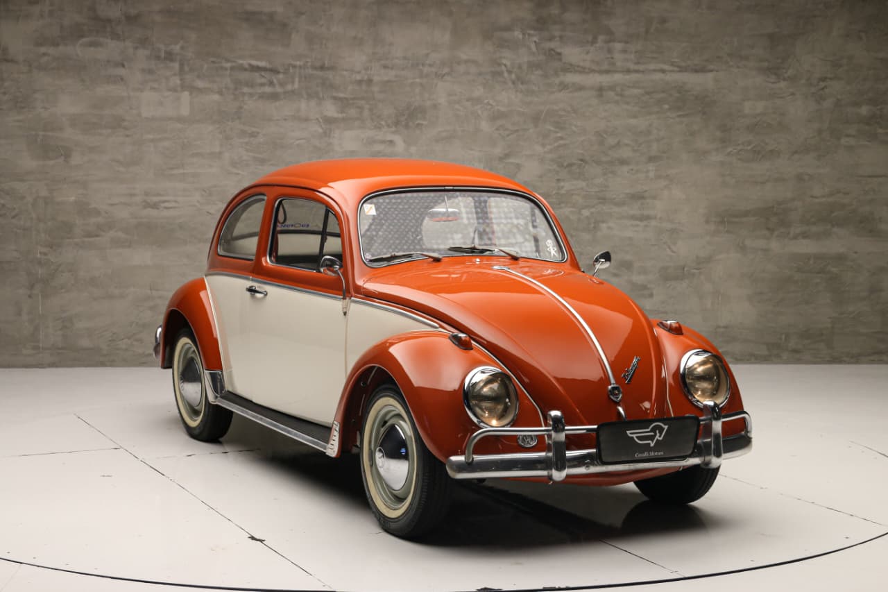 WhatsApp Image 2025-12-04 at 11.59.27