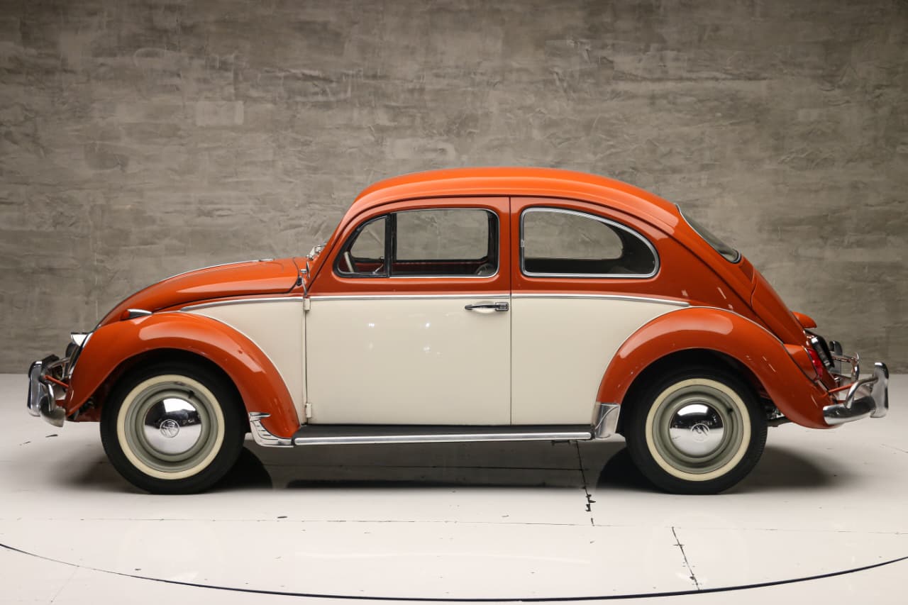 WhatsApp Image 2025-12-04 at 11.59.28 (1)