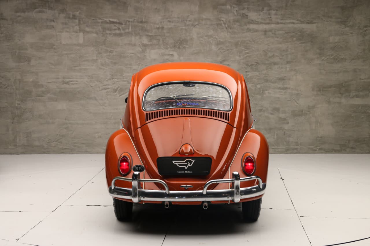 WhatsApp Image 2025-12-04 at 11.59.28