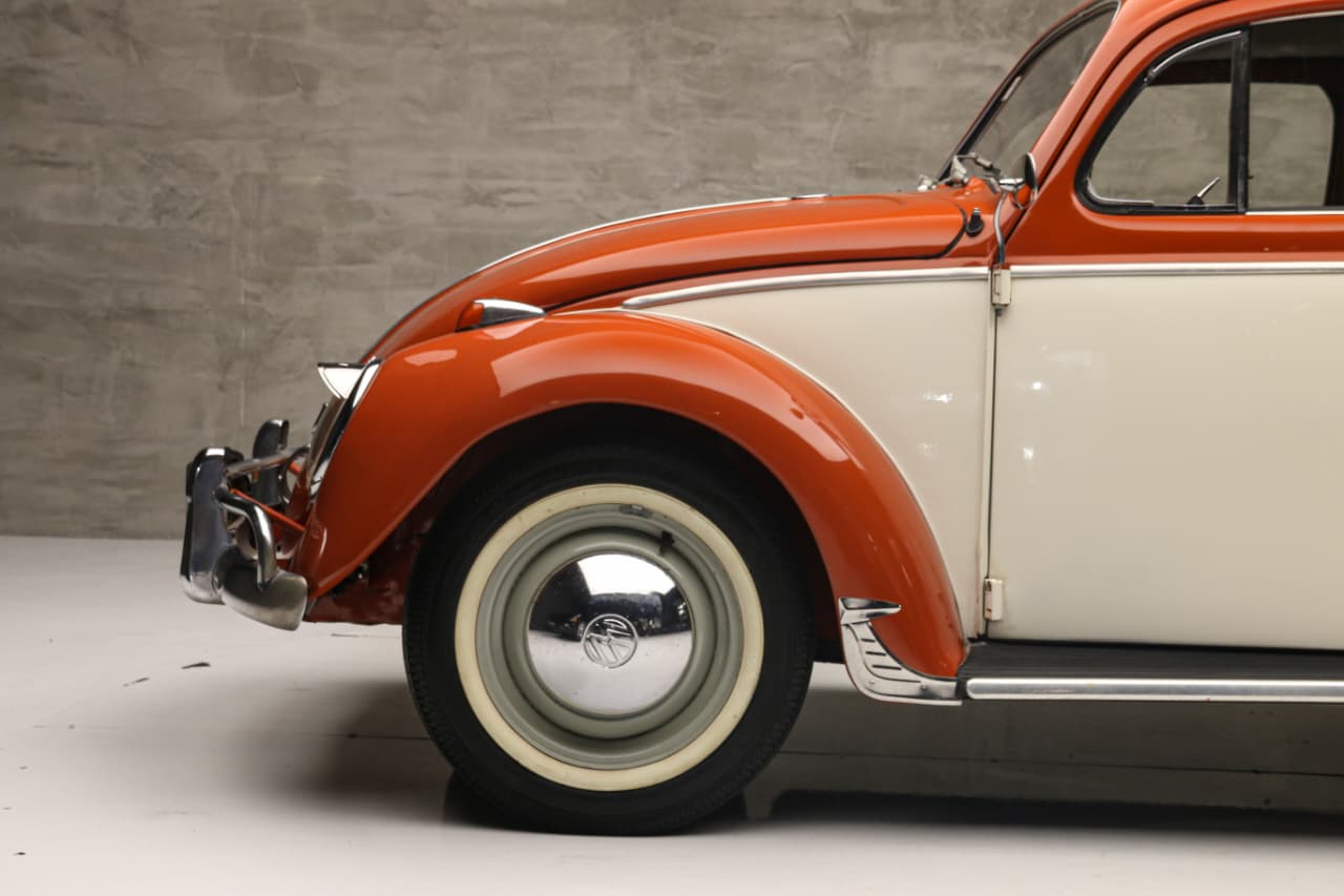 WhatsApp Image 2025-12-04 at 11.59.29