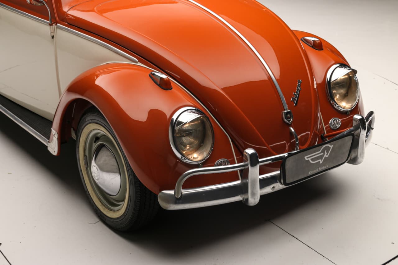 WhatsApp Image 2025-12-04 at 11.59.30